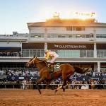 Five Takeaways You Need to Know From Pegasus World Cup Weekend
