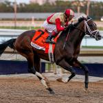 Nearly, Sister Troienne Surge on Equibase Leaderboard in Respective 3-Year-Old Divisions