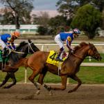 Paladin Rises to the Top of Latest Kentucky Derby Power Rankings