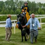 Napoleon Solo Soars Up Equibase Leaderboard, Irad Ortiz Jr. Eclipses $15 Million in Earnings