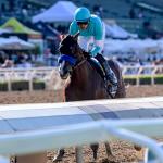 Hughes, Thought Process, Domain Expansion Dominate in Breeders' Cup Preps at Santa Anita