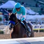 Rookie Rankings for 2027 Kentucky Derby Prospects: Oct. 19 Edition