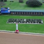 ABR Sunday Selections: Full-Card Picks for Feb. 22 at Oaklawn Park