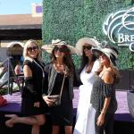 San Diego Style: Your Guide to an Unforgettable 2025 Breeders’ Cup Watch Party