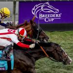 Bricks and Mortar: From Adversity Emerged a Champion