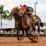 Commandment Surges to No. 2 in Latest Triple Crown Power Rankings