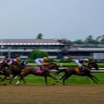 Evaluating the Top Win Contenders for Saturday’s Powerhouse Whitney Stakes Field