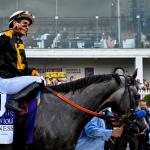Preakness Win Propels Napoleon Solo in Triple Crown Power Rankings