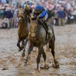 Identifying the Most Likely Winner in a Star-Studded Edition of the Stephen Foster