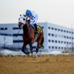 Talk to Me Jimmy Answers the Call in Withers Runaway