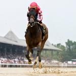 Hall of Fame Trainer Casse Quietly Confident in Multi-Surface Marvel Nitrogen Ahead of Distaff