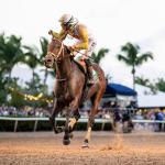 Pegasus World Cup Weekend Sparks Major Changes to Equibase Leaderboard