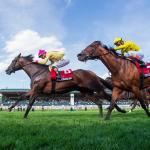 Zulu Kingdom Wins Maker’s Mark Mile for Trainer Brown’s 3,000th Career Victory