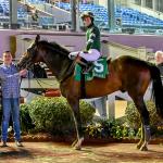Golden Tempo Ascends Equibase Rankings With Lecomte Stakes Score