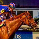 Paladin Stays Atop 3-Year-Old Power Rankings Heading Into Busy Derby Prep Weekend