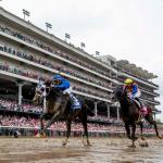 Banking on a Bounce-Back Candidate in the Clark Stakes