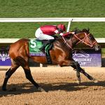 Ten Interesting Facts About the 2026 Breeders’ Cup World Championships