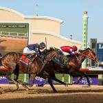 Forever Young Shakes Up Standings as Breeders’ Cup Brings Big Changes to Equibase Leaderboard