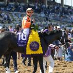 After Season of Setbacks, Shisospicy Targets a Repeat Win in Breeders' Cup Turf Sprint