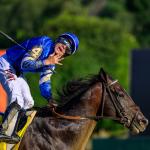 Sovereignty Retains Throne, Thorpedo Anna Moves into Top Five on Equibase Leaderboard