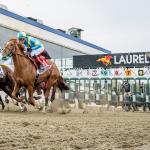 Live Longshots and Value Plays for Preakness Weekend